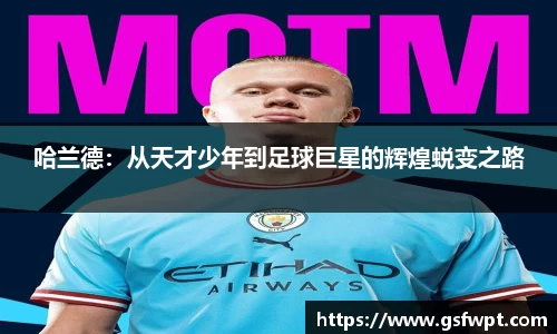 博鱼体育APP