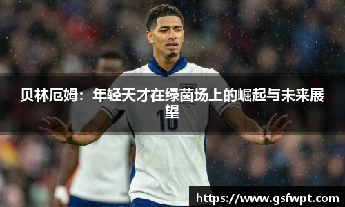 博鱼体育官网