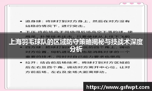 上海羽毛球队的区域防守策略揭秘与技战术深度分析